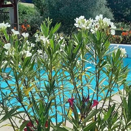 בקתה Cosy Avec Piscine En Campagne קונדום