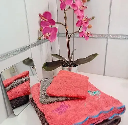 Σαλέ Cosy Avec Piscine En Campagne Condom