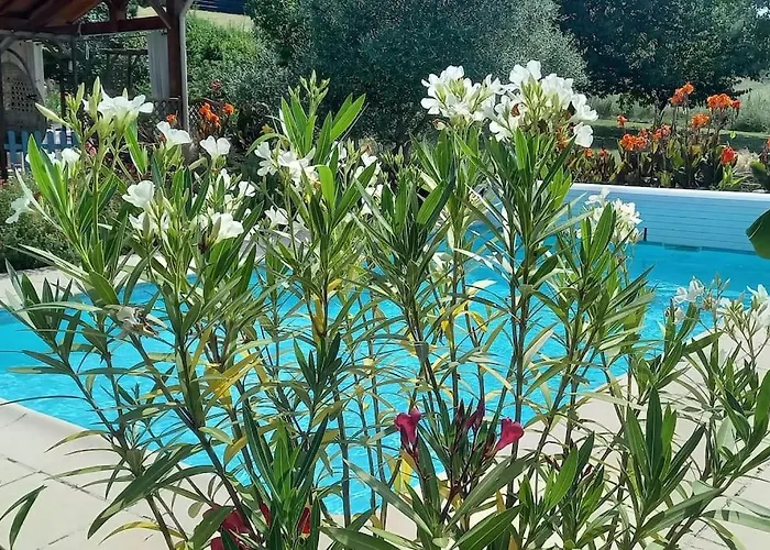 Σαλέ Cosy Avec Piscine En Campagne Condom